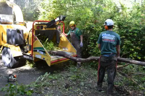 tree services Coolidge